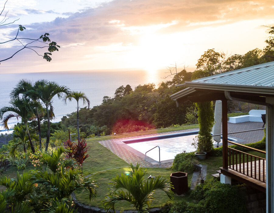 Pool with beautiful garden at Casa Colby