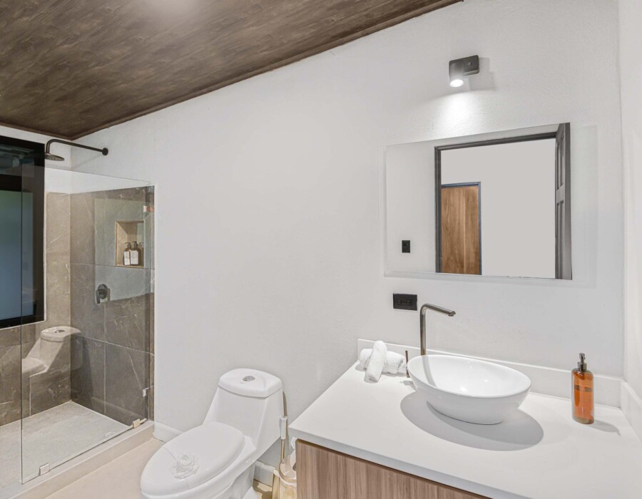 modern toilet and shower in seven ranch